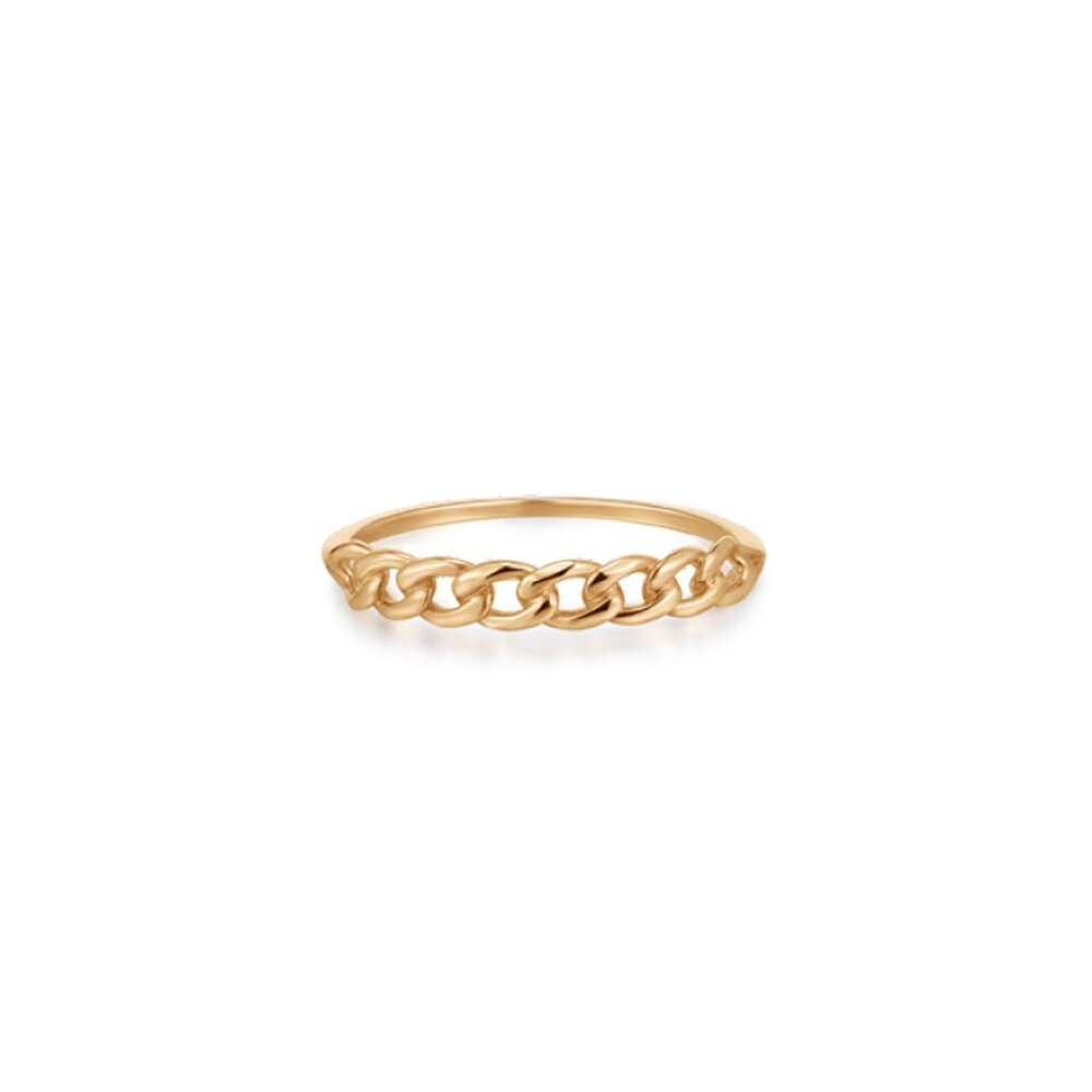 NWT Evelyn Curb Link Ring // 10kt Solid Gold (Size 7)